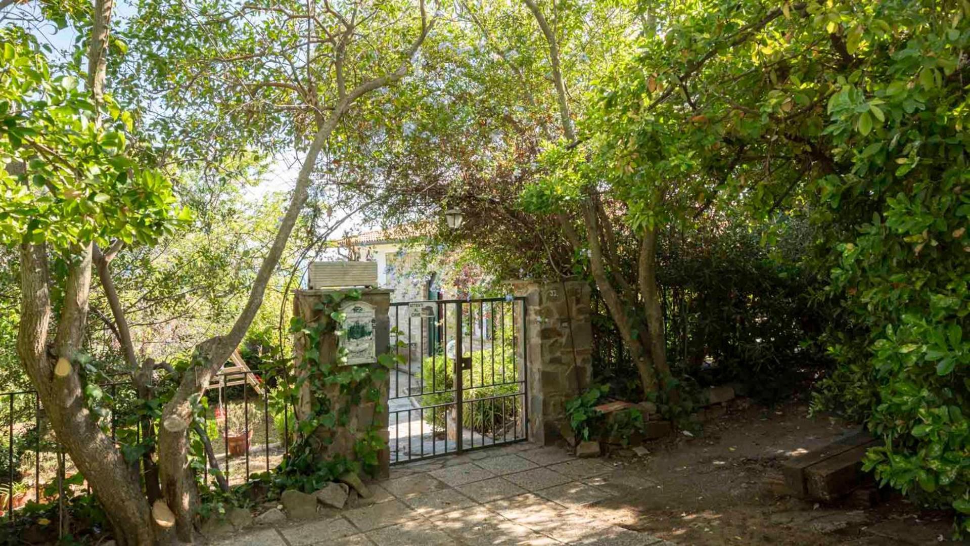 Villa Con Giardino Vista Mare Castiglione della Pescaia Exteriér fotografie